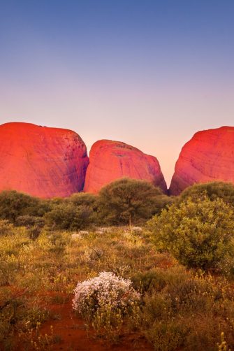 Kata Tjuta at dusk with clear winter sky, Uluru-Kata Tjuta National Park, Northern Territory, Australia