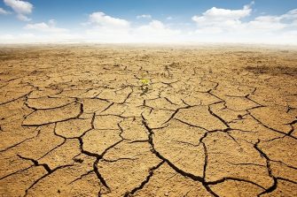 dry land