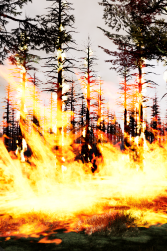 IFire visualisation of fire in pine plantation
