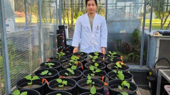 Dr. Cong Vu visiting greenhouses. 