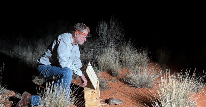 6 Species Reclaim Australia's Outback After 100 Years