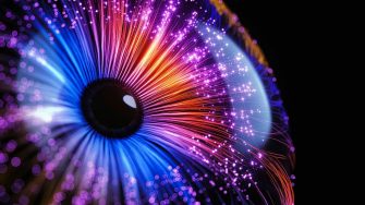 2025-03-hth-exhibition