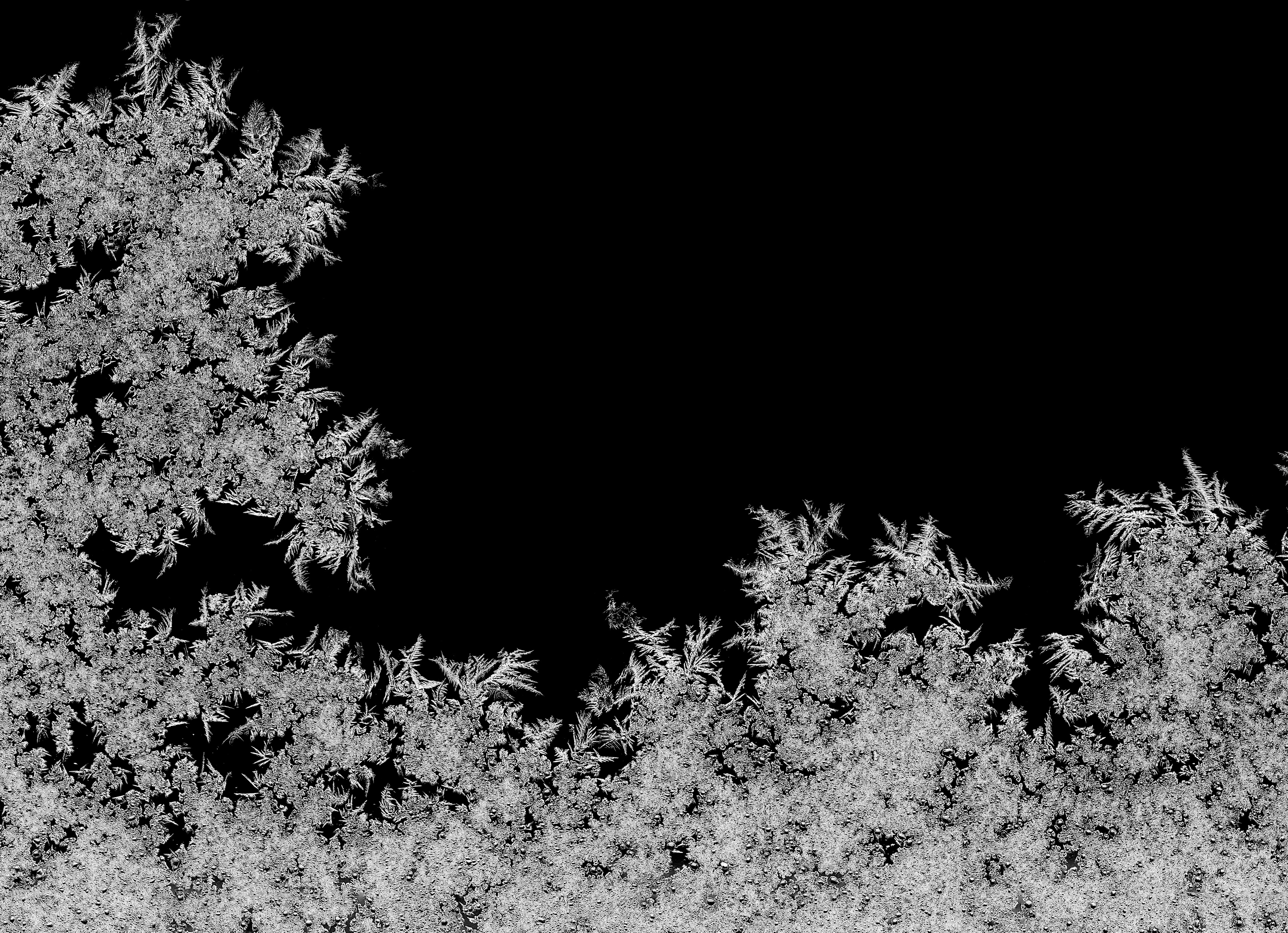 Natural ice crystals frostwork pattern on dark backround. Macro closeup.