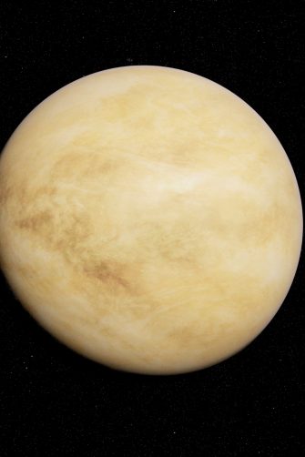 3d rendered illustration of venus
