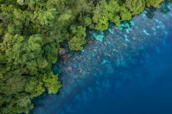 Lush jungle on a remote tropical island is fringed by a coral reef in the Solomon Islands. This beautiful country is home to spectacular marine biodiversity and many historic WWII sites.