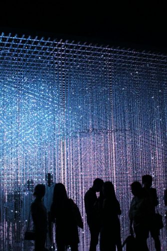 Dr Bryoni Trezise and Dr Caroline Wake