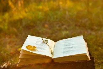 Vintage book of poetry outdoors with flower on it