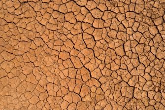 Dry cracked earth texture forming a natural polygon pattern in arid soil vector. Detailed desert ground background representing drought, climate change, dryness and environmental crisis.