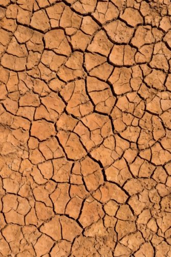 Dry cracked earth texture forming a natural polygon pattern in arid soil vector. Detailed desert ground background representing drought, climate change, dryness and environmental crisis.