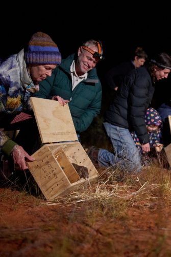 A bettong is revealed in a bag before scientists release it into the wild of Sturt National Park, NSW.