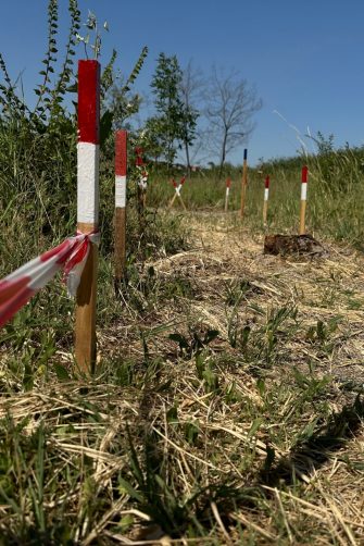 Minefield warning sign with ukraine text “Danger Mines!” placed in a burned forest area affected by conflict. The marked area indicates possible landmine contamination and explosive hazards