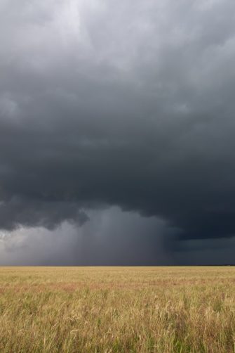 Supercell thunderstorm passes by a dry wheat field, releasing an intense core of rain and hail.