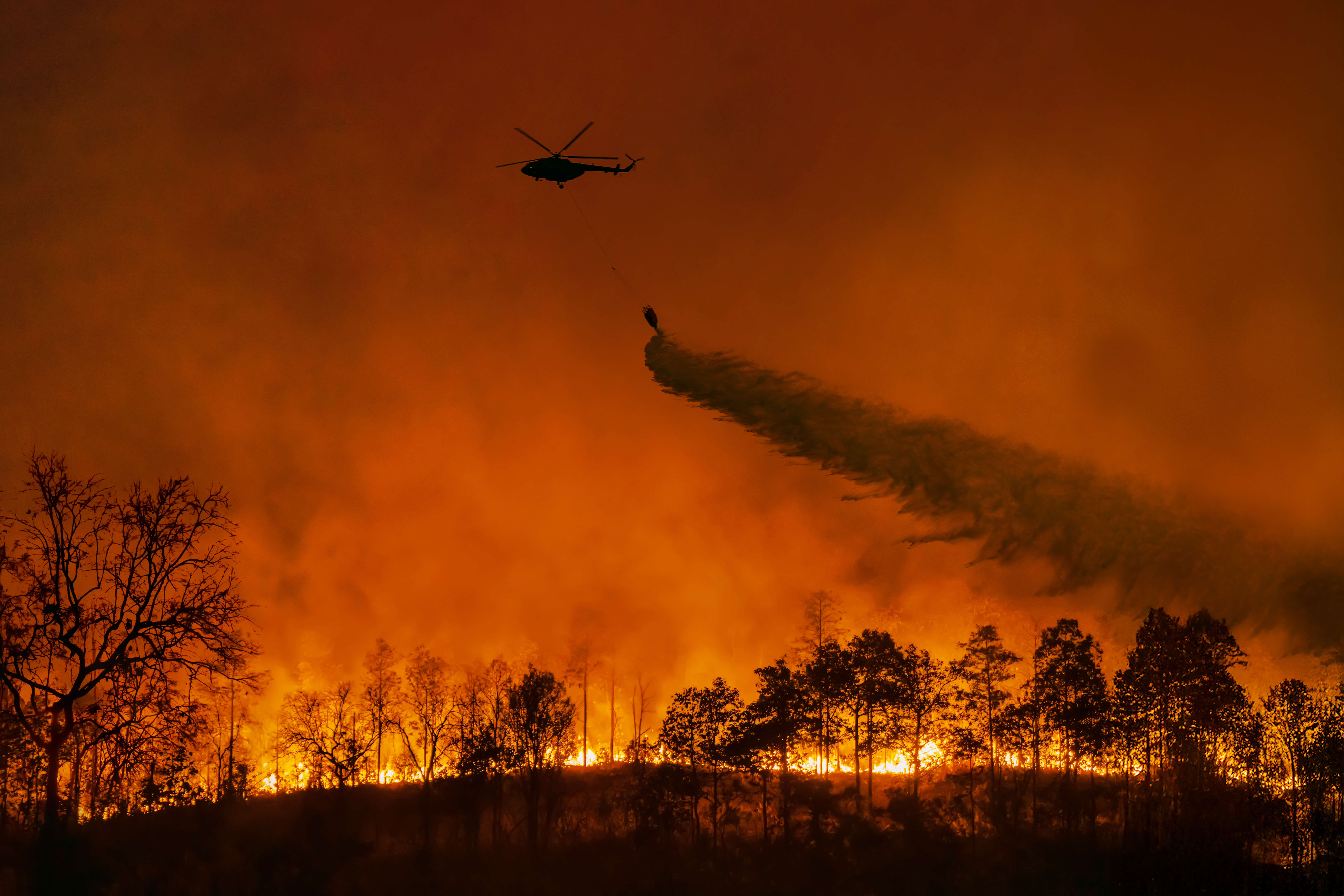Fire fighting helicopter dropping water over bushfire