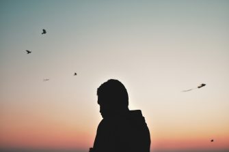 Silhouette of a person with birds flying overhead in the sunset