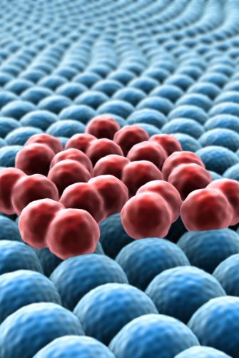 Image of pluripotent stem cells