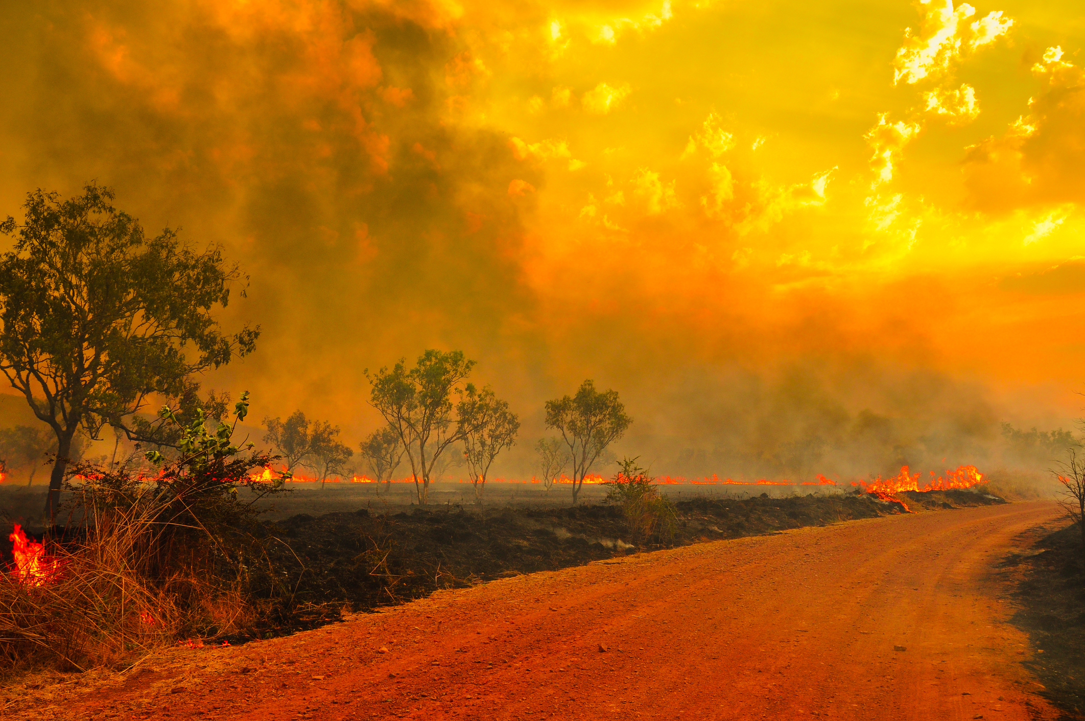 Bush fire in Kimberley, Australia.