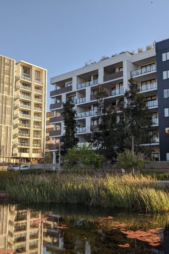 Three six to nine storey apartment buildings in Penrith with a pond in the foreground filled with grasses.