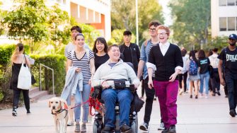Inclusion of students with disability amongst UNSW students