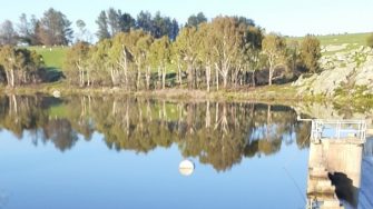 Kentucky dam overflowing