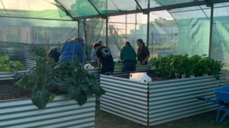 a group of UNSW students in the plant house.