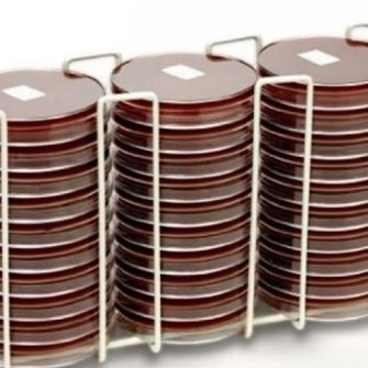 Glass petri dishes