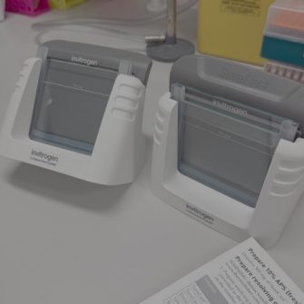 hand cast kits