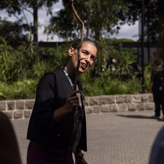 (Daily) Delight~Disrupt