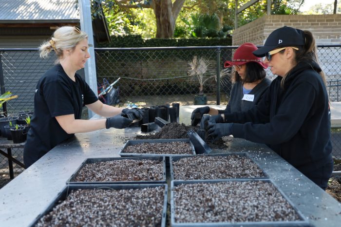 Caring for Country Initiative Soft Launch Days