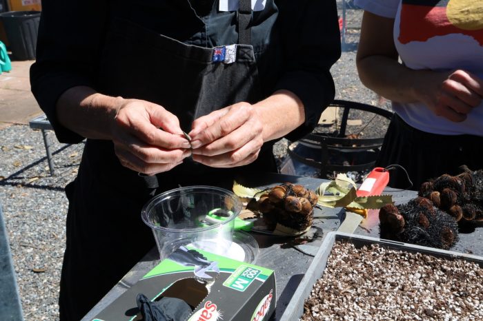 Caring for Country Initiative Soft Launch Days