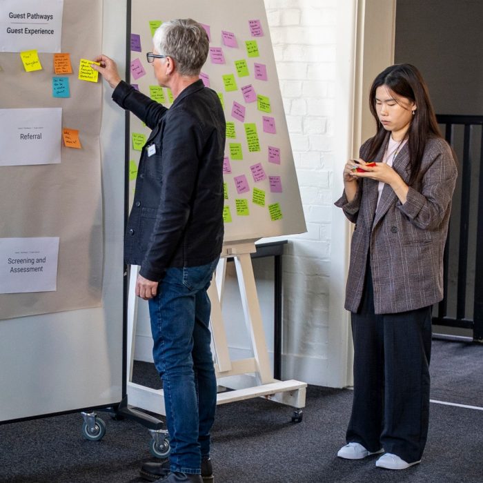St Vincents Model of Care Expert Working Group