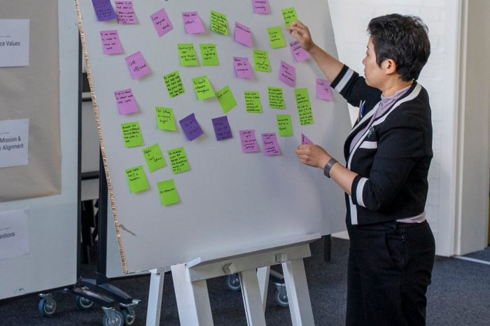 St Vincents Model of Care Expert Working Group