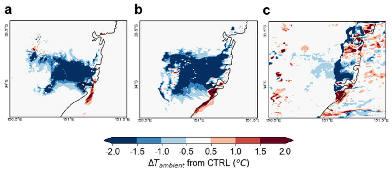 Cool roofs project picture 2