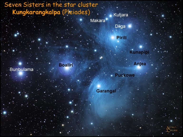 The Seven Sisters (Pleiades constellation) relevant to the Black Duck Songline