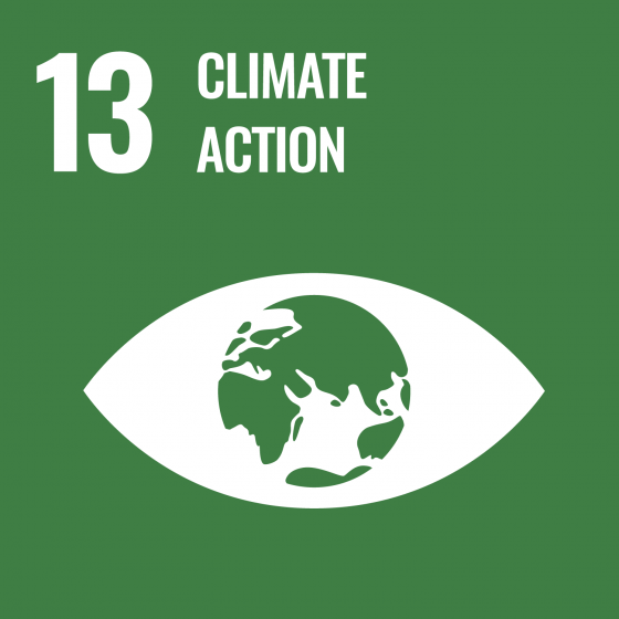 13 Climate action icon