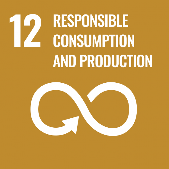 UN Sustainable Development Goals icon 12: Responsible Consumption and Production