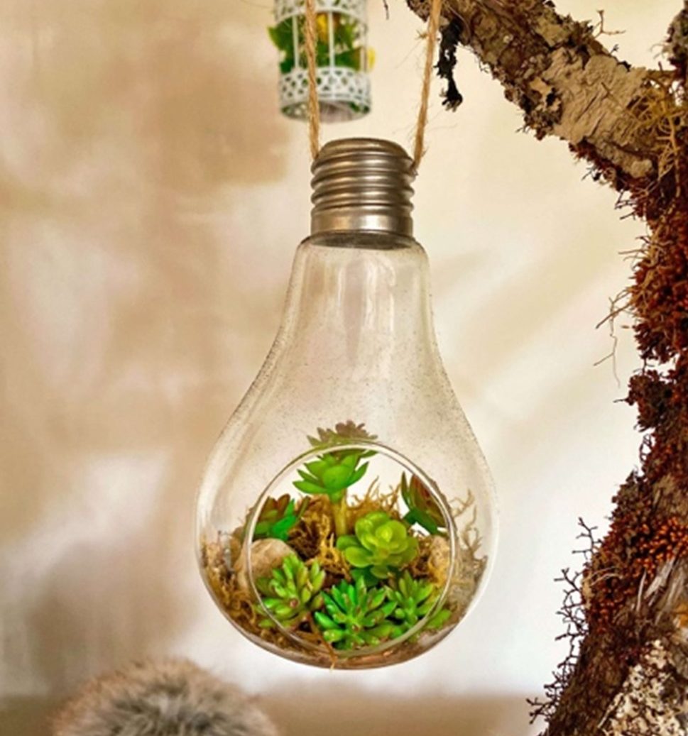 light bulb with plant inside of it, hanging from a tree