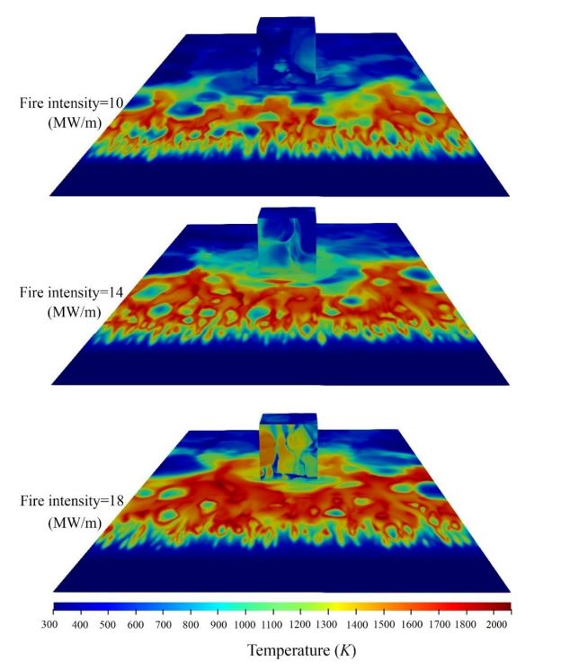Effect of Fire Intensity on Wind Driven Surface Fire and Its Impact on an Idealized Building (Temperature distribution on the ground near building for three different fire intensities)