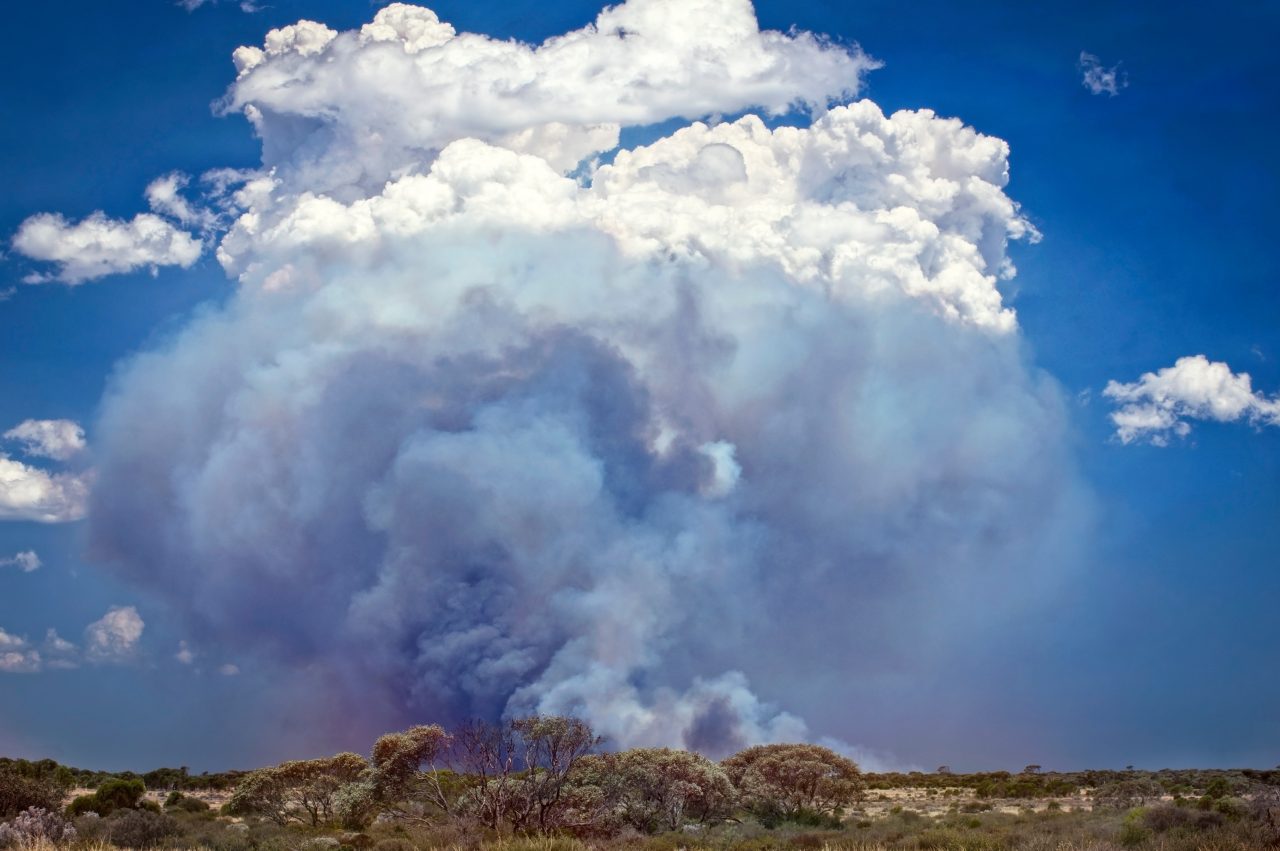 Western Australia – bush fire at the outback desert at Nullarbor Plain with high clouds of smoke and cumulus 