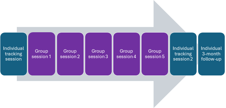A flowchart with an arrow pointing to the right. The flowchart consists of seven boxes arranged horizontally within the arrow. The text inside each box is as follows (from left to right): 1. Individual tracking session, 2. Group session 1, 3. Group session 2, 4. Group session 3, 5. Group session 4, 6. Individual tracking session 2, 7. Individual 3-month follow-up.