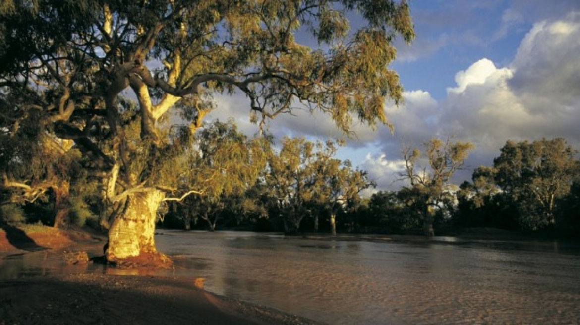 Indigenous River Rangers Program