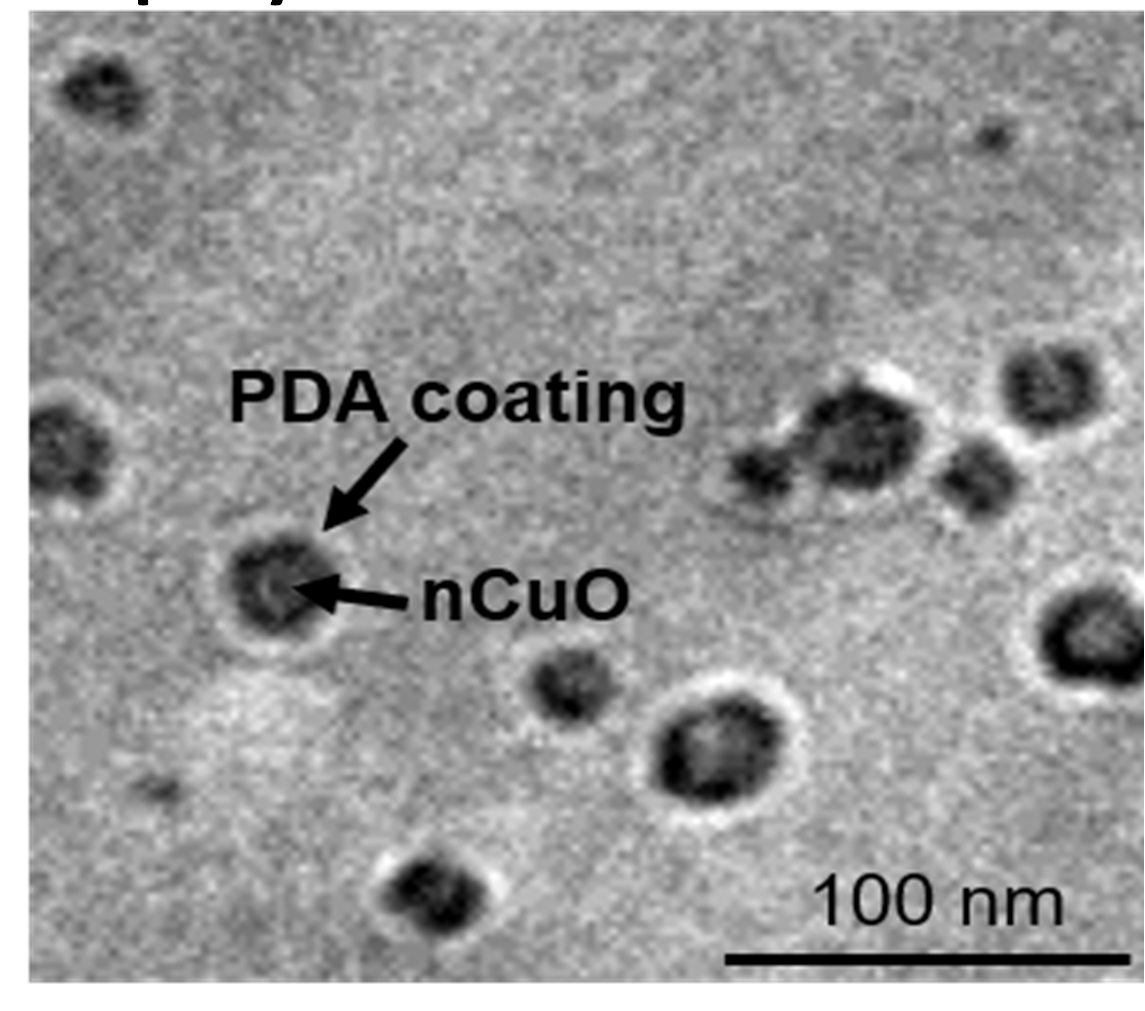 functionalised nano-particles