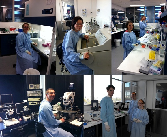 TNF lab members at work