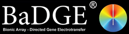 BaDGE logo
