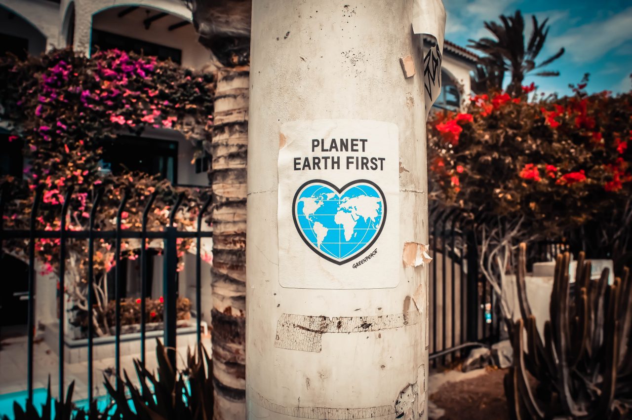 Photo board saying planet earth first