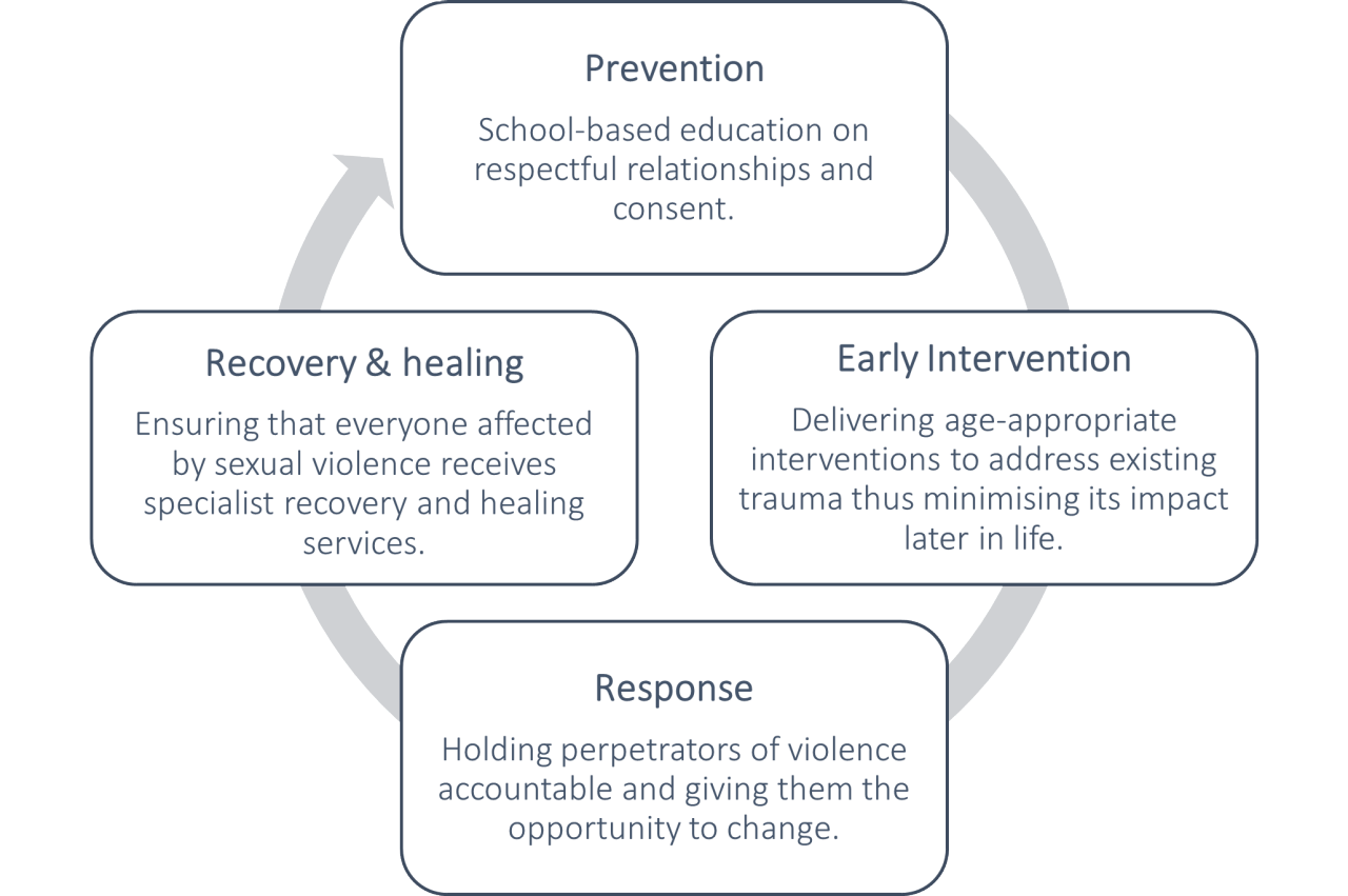 Graphic for Interpersonal violence experienced by young people policy brief