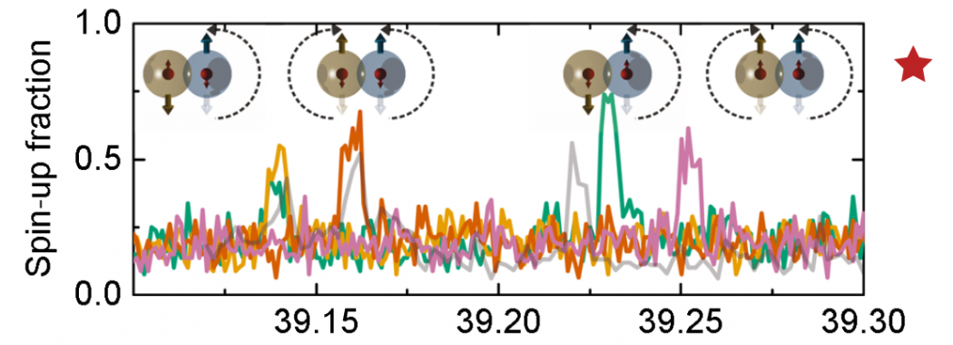 Conditional quantum operation of two exchange-coupled single-donor spin qubits