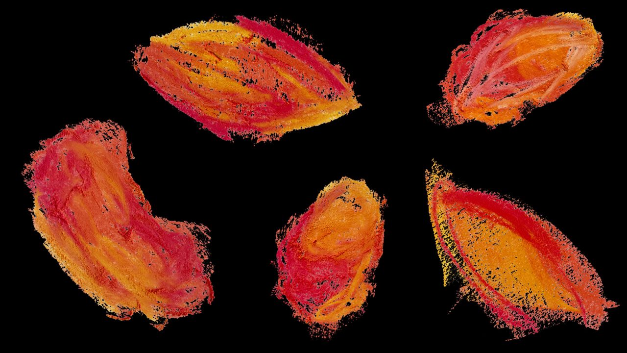 Abstract representation of seeds, highly textured and drawn with pastels.