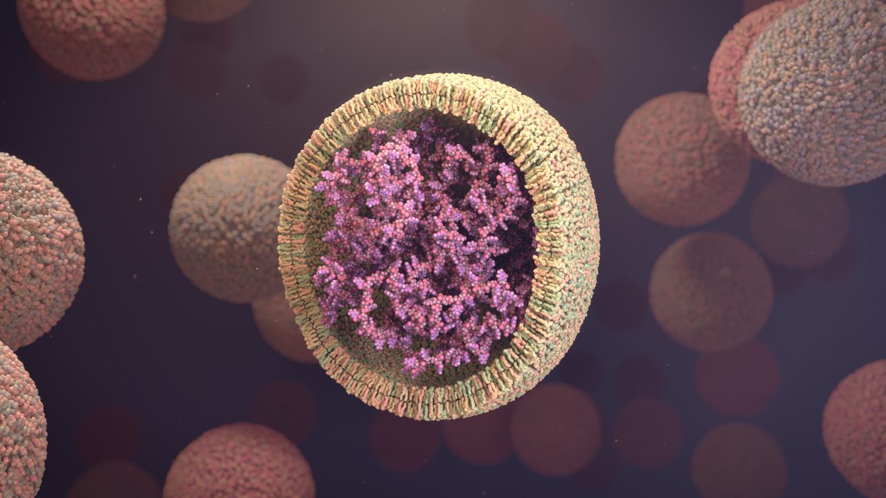 A cutaway illustration revealing mRNA of a vaccine delivered within an envelope of lipid molecules.
