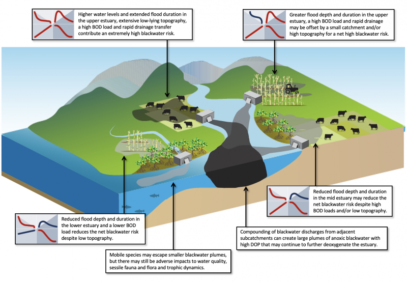 NSW coastal floodplain prioritisation project illustration