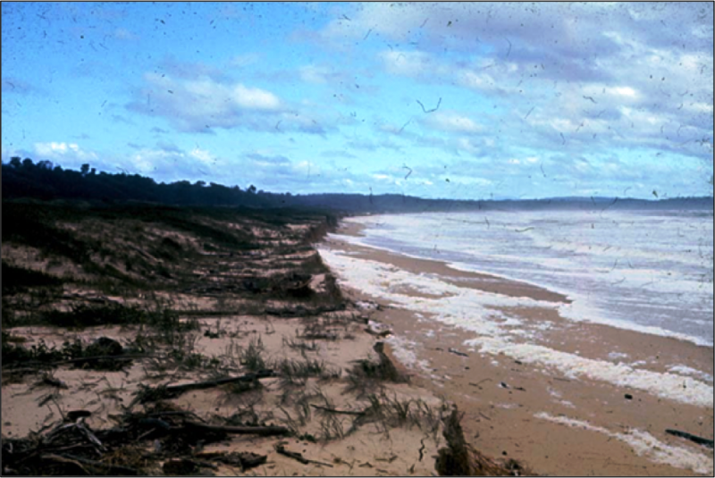 1974 storm erosion